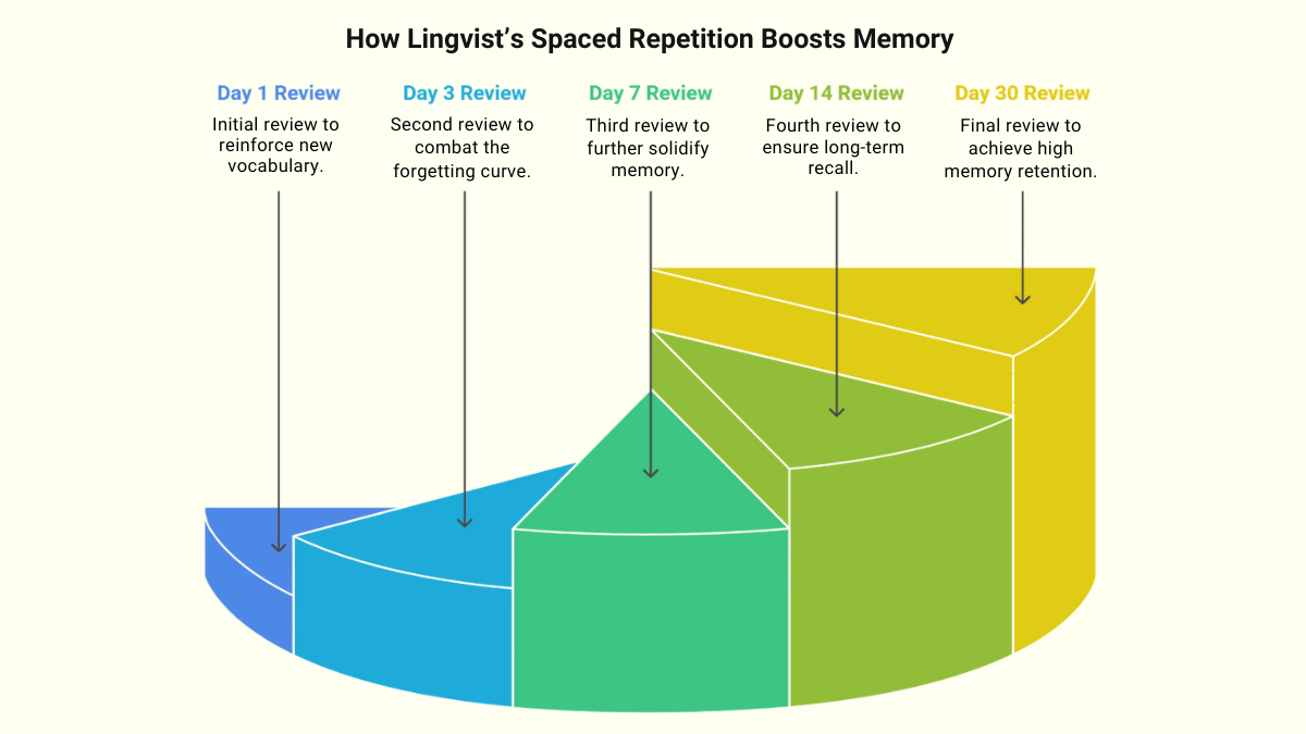 How Lingvists Spaced Repetition Algorithm Strengthens Memory